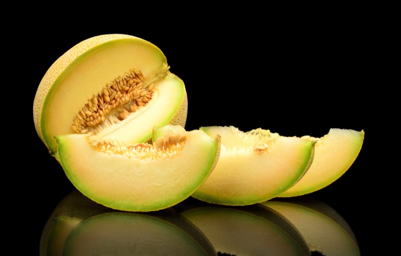 Melon - Galia
