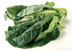 Cabbage - Spring greens