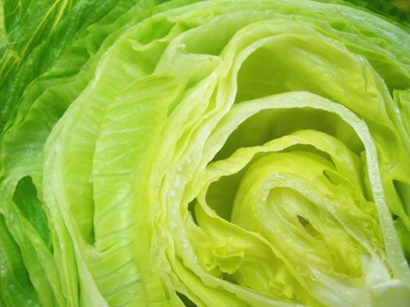 Iceburg lettuce - each