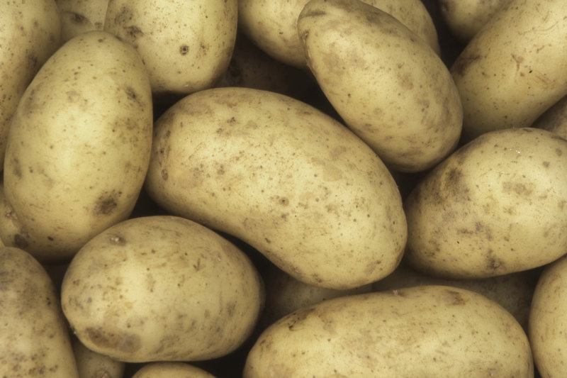 Washed Potatoes - 25kg