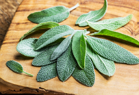 Sage (100g)