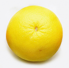 Grapefruit - Yellow